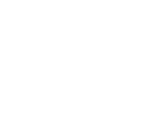 Modularis STRONG Box – leistungsstarkes Technikmodul mit vergrößerter Funktionssektion, visualisiert als schematische Box.
